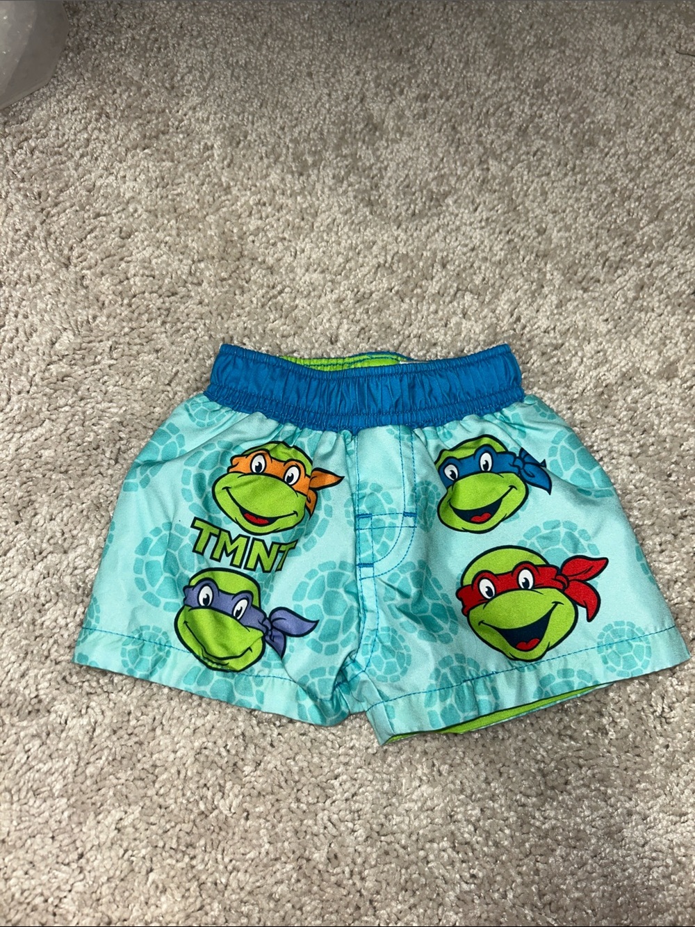 Nickelodeon Teenage Mutant Ninja Turtles Aqua Swim Trunks